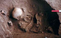 Abri Bettenroder Berg IX: Spätmesolithisches Mädchengrab