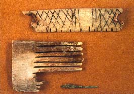 Knochenkamm-Fragmente und Bronzenadel aus dem Brunnen in der Curtis